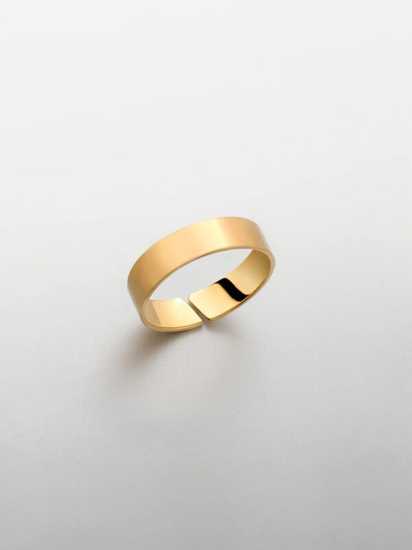 Ring Men, Silber, Gold - fjw-000-006